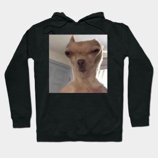 Chihuahua meme Hoodie